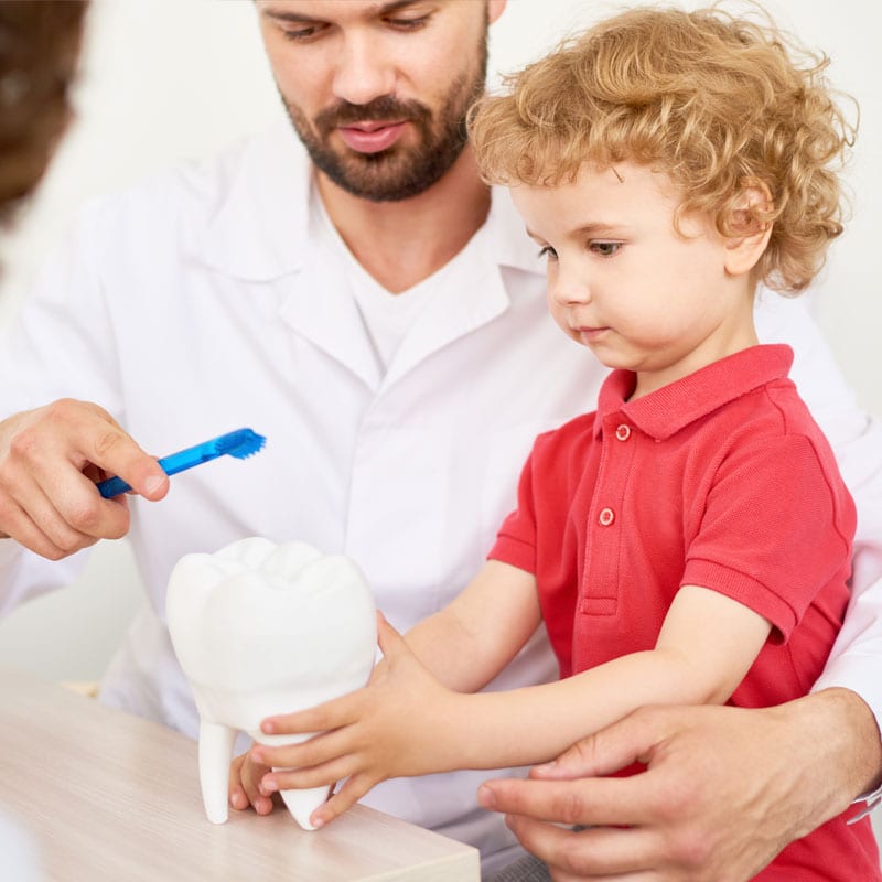 Childrens Dentistry Hawthorn