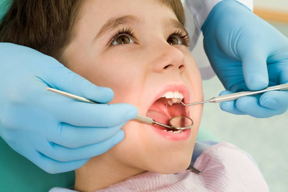 paediatric dentist hawthorn